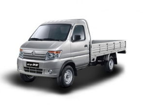 邢臺(tái)神騏T20 2018款 1.3L CNG載貨車標(biāo)準(zhǔn)型單排DAM13R 報(bào)價(jià)、降價(jià)趨勢(shì)與市場(chǎng)分析