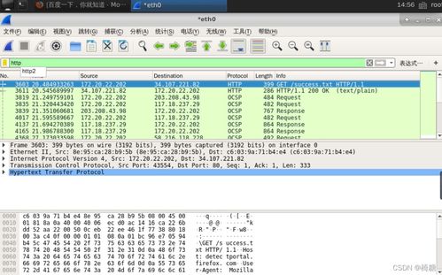 網絡嗅探技術在信息安全實驗中的應用與軟件開發實踐